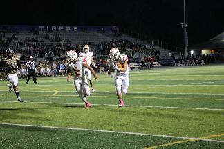 October 11 2019 IMG_2330359